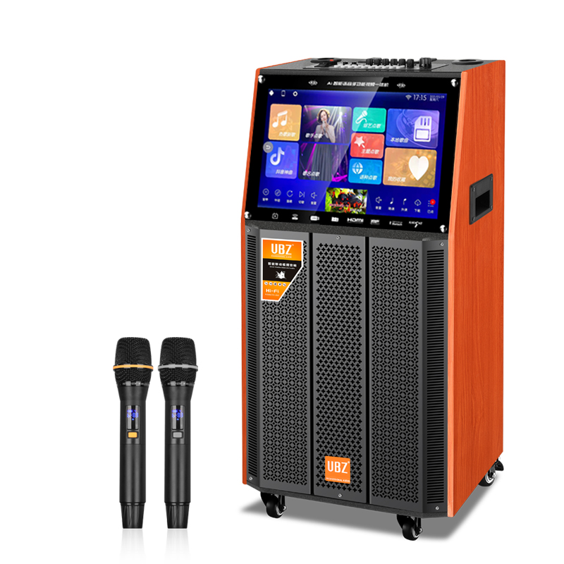 110V充电音箱带屏幕户外拉杆音响带视频
